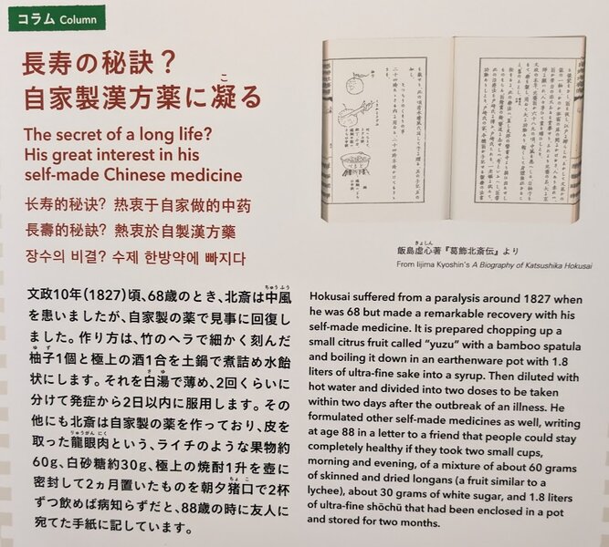 "The secret of a long life? His great interest in his self-made Chinese medicine. Hokusai suffered from a paralysis around 1827 when he was 68 but made a remarkable recovery with his self-made medicine. Itis prepared [by] chopping up a small citrus fruit called 'yuzu' with a bamboo spatula and boiling it down in an earthenware pot with 1.8 liters of ultra-fine sake into a syrup. Then diluted with hot water and divided into two doses to be taken within two days after the outbreak of an illness. He formulated other self-made medicines as well, writing at age 88 in a letter to a friend that people could stay completely healthy if they took two small cups, morning and evening, of a mixture of about 60 grams of skinned and dried longans (a fruit similar to a lychee), about 30 grams of white sugar, and 1.8 liters of ulta-fine shochu that had been enclosed in a pot and stored for two months.